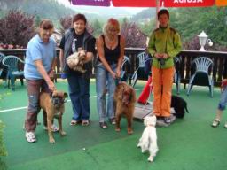 Resize of DSC00447.JPG